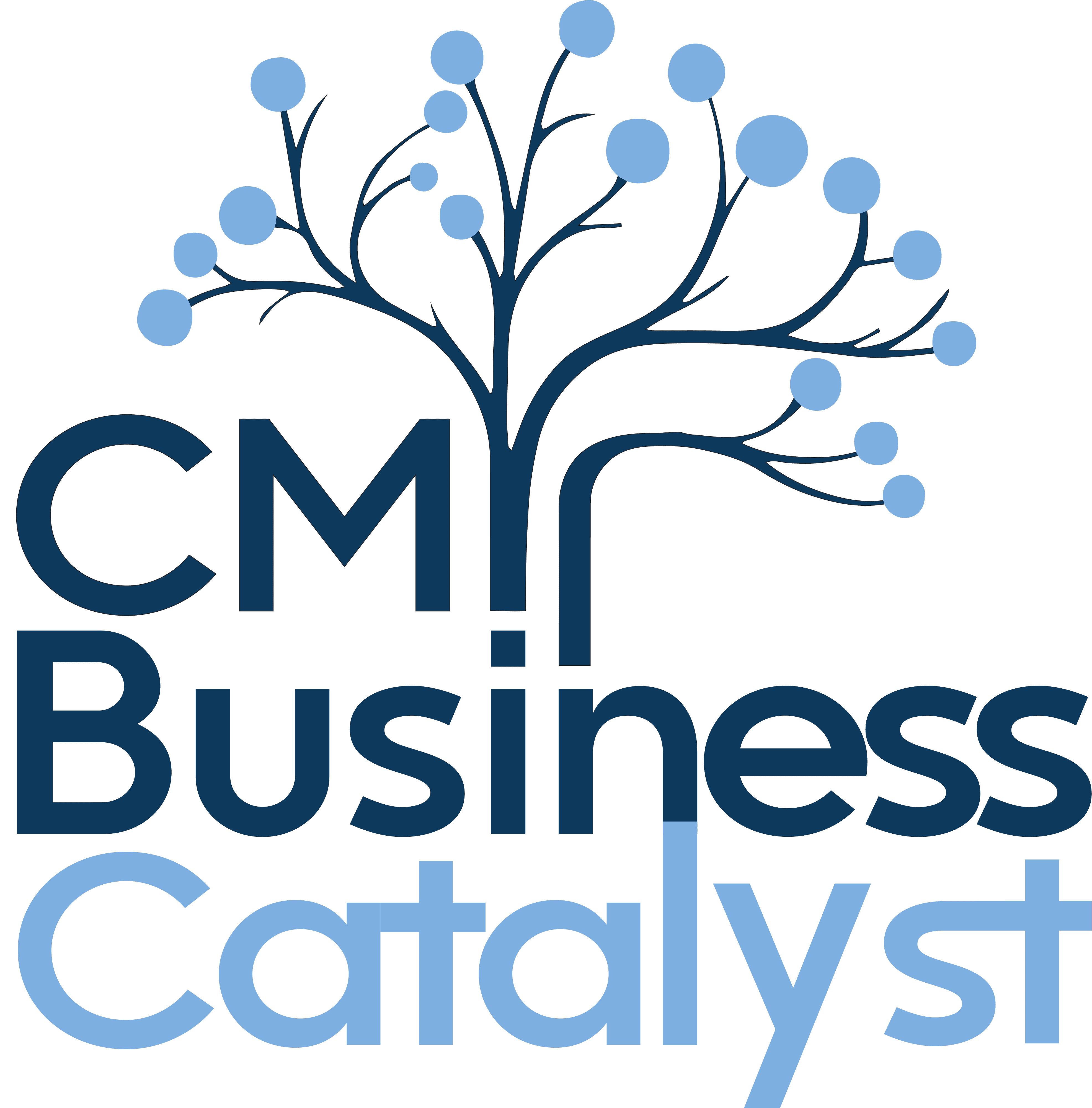 CM Business Catalyst Logo